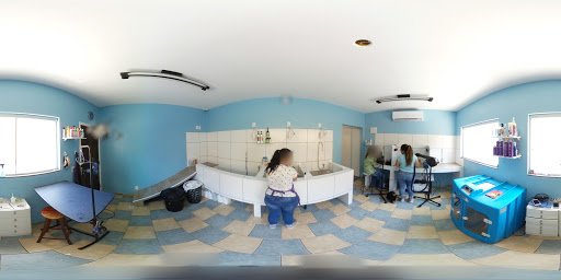 Cão Mania Veterinário e Pet Shop em Jundiaí - SP