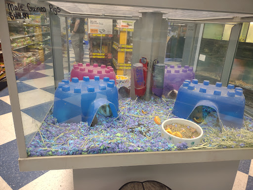 Pet Store «Creature Comforts», reviews and photos, 1250 Front St, Binghamton, NY 13901, USA