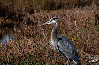 Michael Leatham Photography - Photo 3 - Car repair in , Newport News