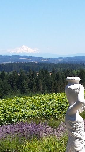 Winery «Ardiri Winery & Vineyards», reviews and photos, 35040 Southwest Unger Road, Cornelius, OR 97113, USA