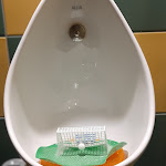 Photo n° 27 de l'avis de consultant.o fait le 19/04/2023 à 15:32 pour Gigg's Irish Pub à Nantes