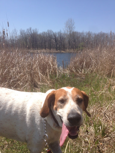 Nature Preserve «Greenbelt Forest Preserve», reviews and photos, 1110 S Green Bay Rd, North Chicago, IL 60035, USA