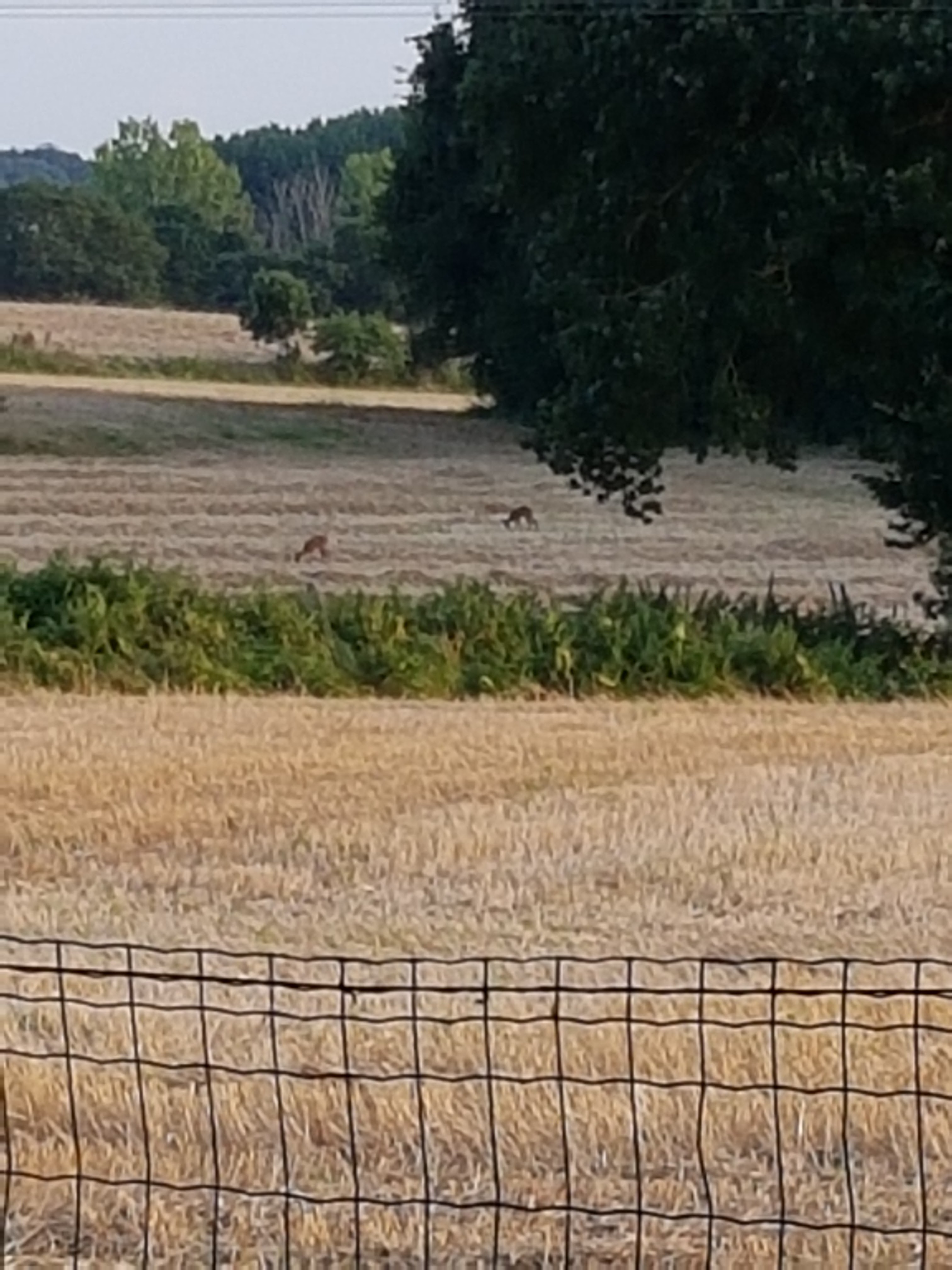 Photo n° 17 de l'avis de Dan. fait le 09/09/2017 à 14:11