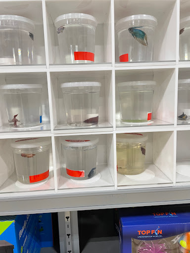 Pet Supply Store «PetSmart», reviews and photos, 5005 S 74th St, Greenfield, WI 53220, USA