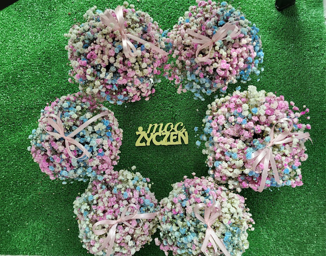 Comentarii opinii despre Kwiaciarnia La Lila