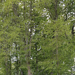 Photo n° 1 de l'avis de Martine.A fait le 04/05/2019 à 15:16 pour Parc du château de la Ferté-Vidame à La Ferté-Vidame