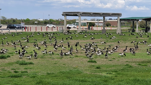 National Park «Jacob Riis Park (Gateway National Recreation Area)», reviews and photos, Rockaway Beach Blvd, Rockaway Park, NY 11694, USA