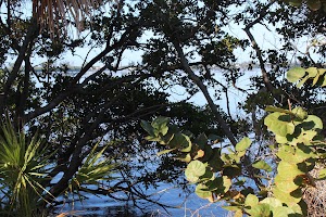 Lemon Bay Park and Environmental Center - photo 19