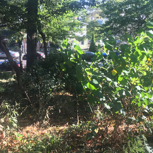 Park «Doughboy Park», reviews and photos, Woodside Ave, Woodside, NY 11377, USA