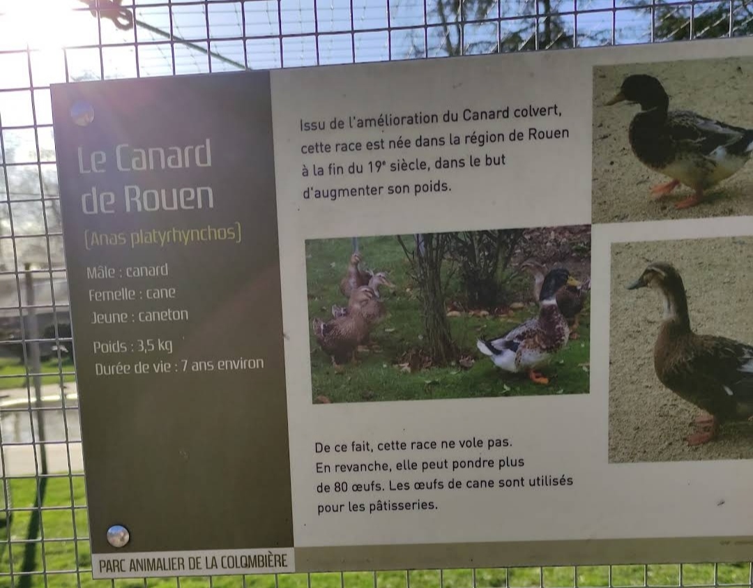 Photo n° 5 de l'avis de M-Jeanne. fait le 26/04/2023 à 22:08