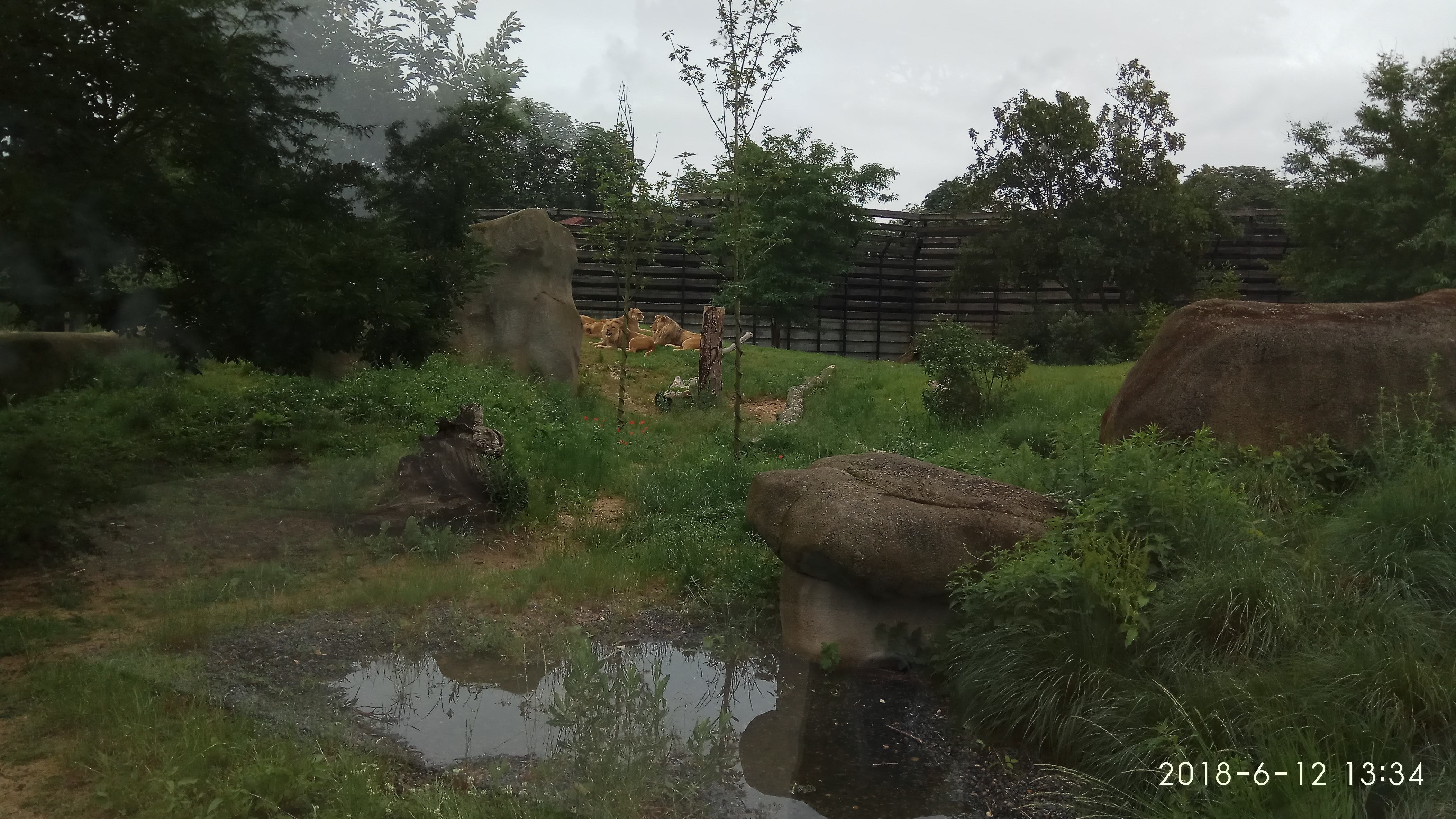 Photo n° 20 de l'avis de Swiss.e fait le 15/06/2018 à 19:24