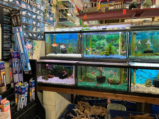 Tropical Fish Store «Superway Aquarium», reviews and photos, 177 Tennyson Rd, Hayward, CA 94544, USA