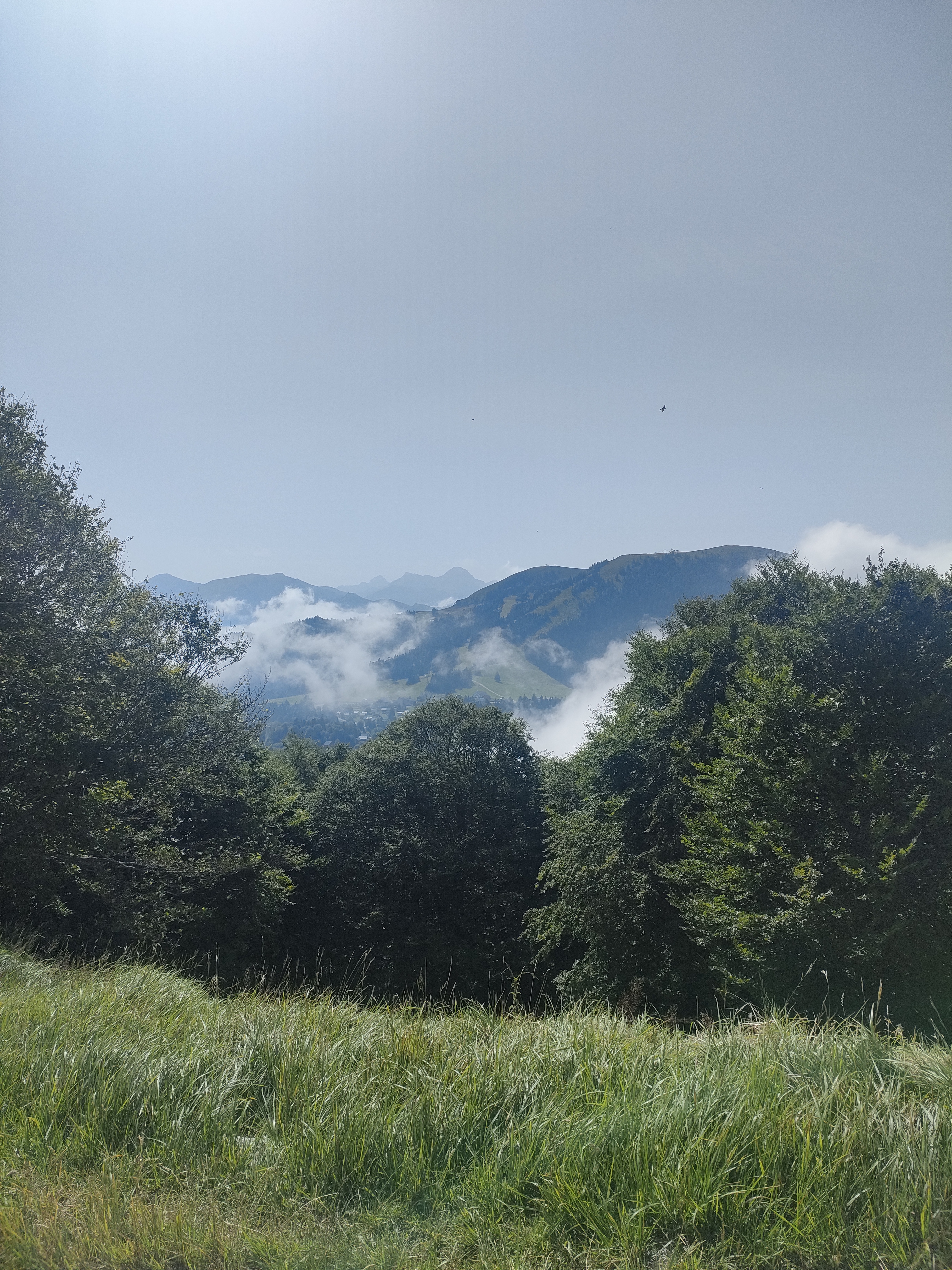 Photo n° 1 de l'avis de benoit.a fait le 15/08/2023 à 13:37