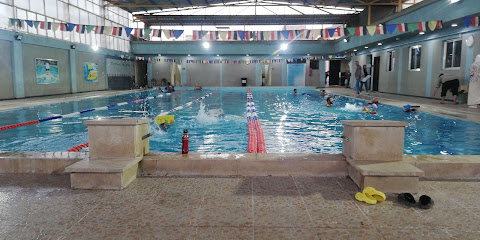 Top Swimming Academy