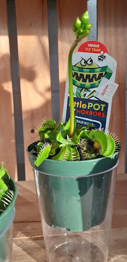 Home Improvement Store «Longeneckers True Value», reviews and photos, 127 Doe Run Rd, Manheim, PA 17545, USA