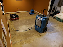 Royalty Air Duct & Carpet Cleaning - Photo 8 - Car repair in Wayne, MI, Dearborn
