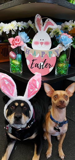 24 Hour Pawn Inc, 407 W Jefferson Blvd, Dallas, TX 75208, USA, 