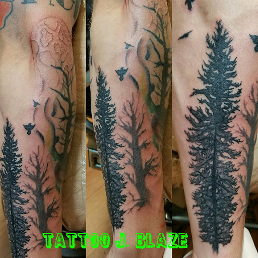 Tattoo Shop «Illustrator Tattoos», reviews and photos, 38505 Chestnut Ridge Rd, Elyria, OH 44035, USA