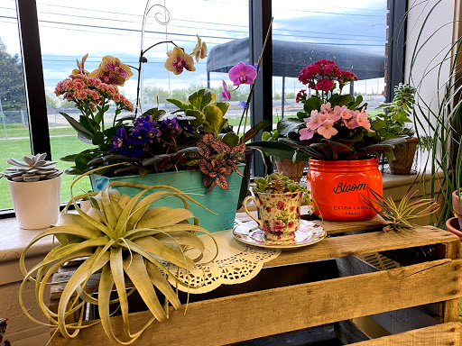 Florist «Petals of Love», reviews and photos, 5350 W 130th St, Brook Park, OH 44142, USA