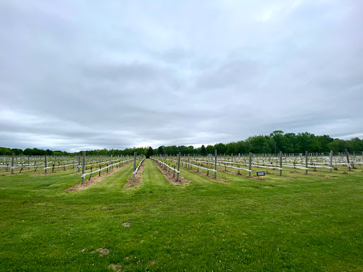 Winery «Dancing Dragonfly Winery», reviews and photos, 2013 120th Ave, St Croix Falls, WI 54024, USA