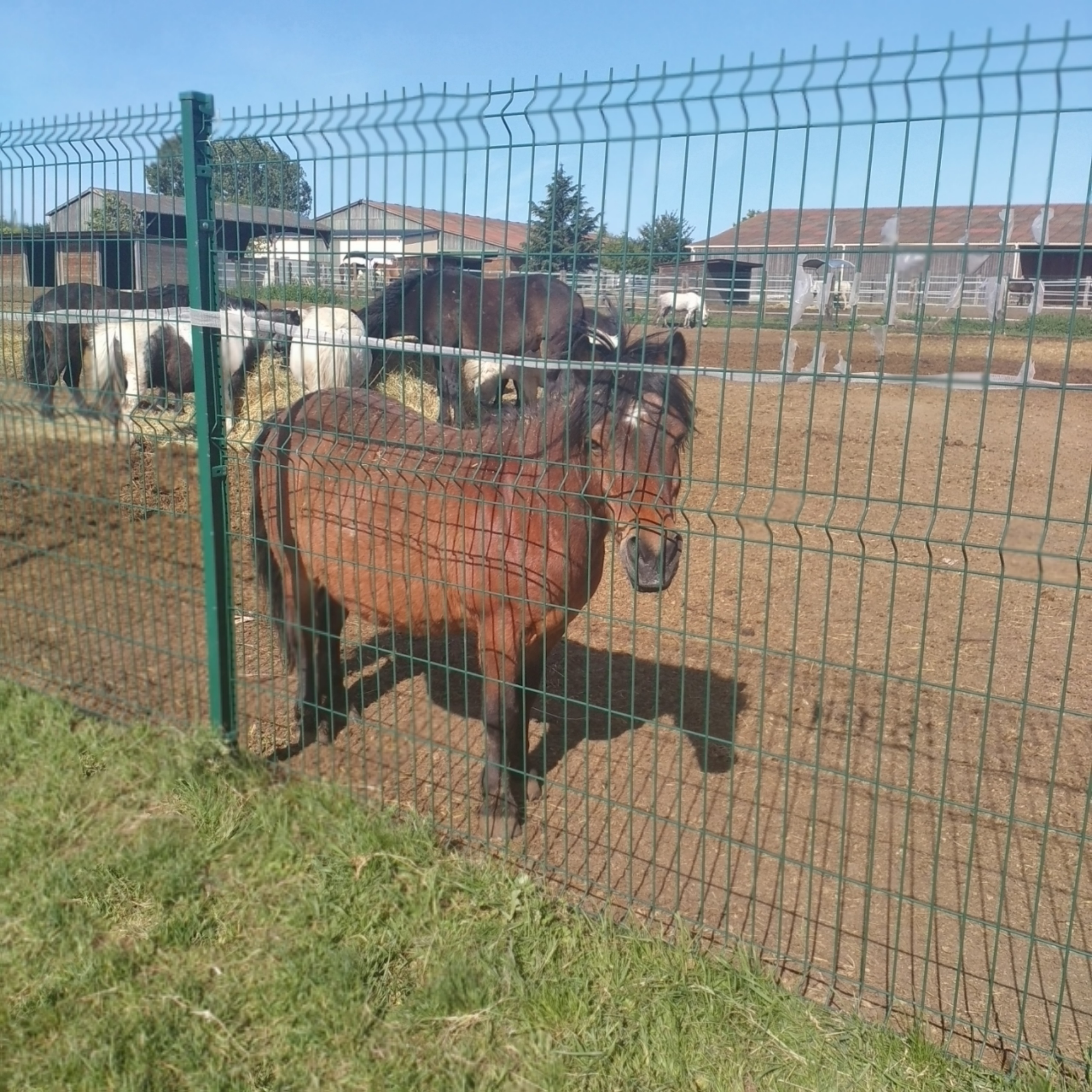 Photo n° 4 de l'avis de Françoise.e fait le 26/05/2020 à 08:48
