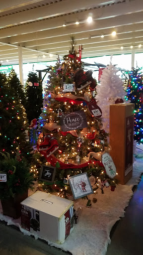 Home Improvement Store «Menards», reviews and photos, 7145 E 96th St, Indianapolis, IN 46250, USA