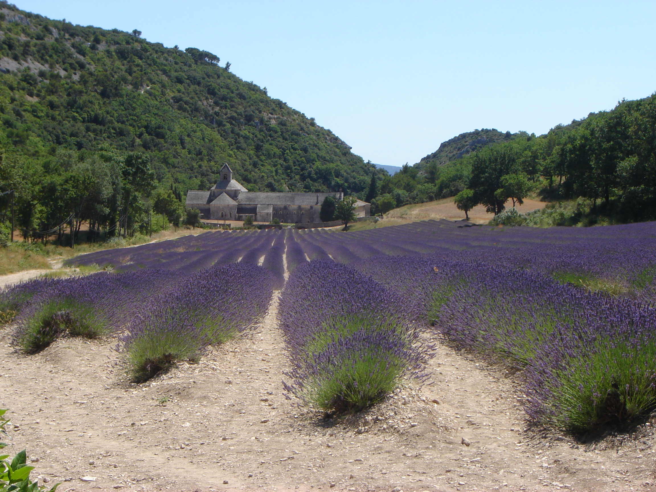 Photo n° 3 de l'avis de Franck.o fait le 31/03/2023 à 18:15