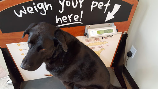 Pet Supply Store «Pet Food Express», reviews and photos, 320 S Lake Ave, Pasadena, CA 91101, USA