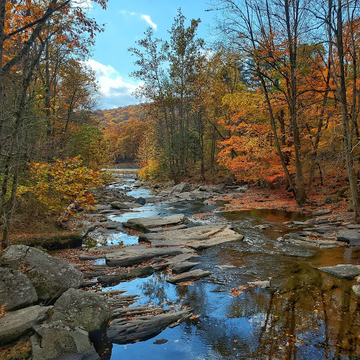 Tusten Mountain Trail Zona de senderismo en Narrowsburg, New York