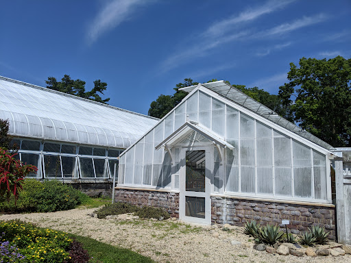 Main Greenhouse Hibiscus House, Planting Fields Arboretum image 6