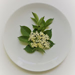 Photo n°5 de l'avis de Khalid.o fait le 12/07/2020 à 13:17 sur le  Restaurant Brücken à Cologne