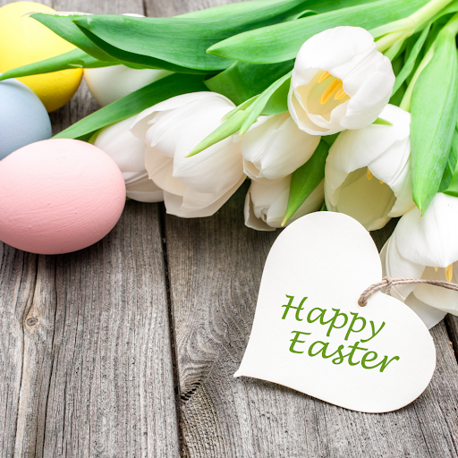 Florist «Cedar Grove Gardens», reviews and photos, 911 Adams St, Dorchester Center, MA 02124, USA