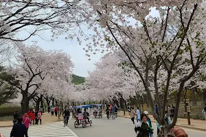 Incheon Grand Park Children's Zoo image