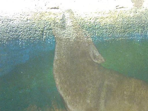 Nature Preserve «Flat Rock Brook Nature Center», reviews and photos, 443 Van Nostrand Ave, Englewood, NJ 07631, USA