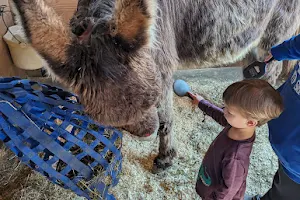 Donifer Farms Donkey and Eeyore Museum image