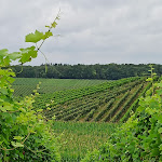 Photo n°1 de l'avis de Ulrike.i fait le 30/07/2021 à 15:23 sur le  Gästehaus Zum Wolffenturm - Martin Wolff à Lehrensteinsfeld