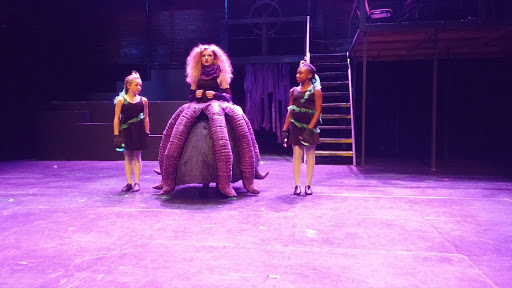 Performing Arts Theater «New Hazlett Theater», reviews and photos, 6 Allegheny Square E, Pittsburgh, PA 15212, USA