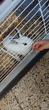 AGROCENTRO 3 TRES CALLES - Photo 4 - Car repair in Bayamón, Toa Baja, Puerto Rico, San Juan