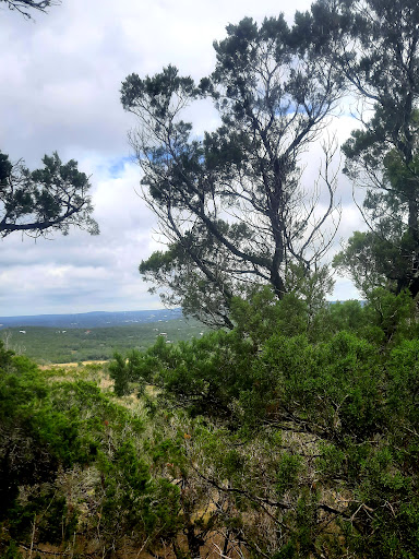 Tourist Attraction «Wimberley Zipline Adventures», reviews and photos, 300 Winn Valley Dr, Wimberley, TX 78676, USA