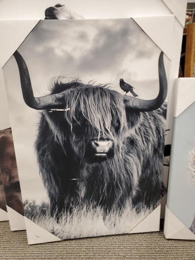 Department Store «Peebles», reviews and photos, 765 Solomons Island Rd N, Prince Frederick, MD 20678, USA