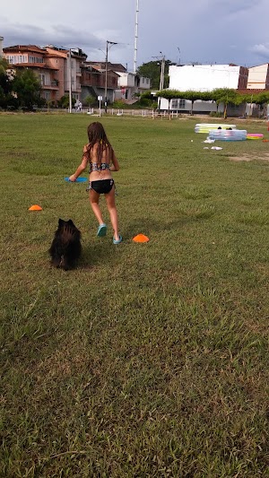 Parque Los Lagos - photo 1