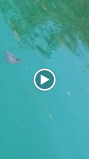 Park «Encanto Park», reviews and photos, 2605 N 15th Ave, Phoenix, AZ 85007, USA