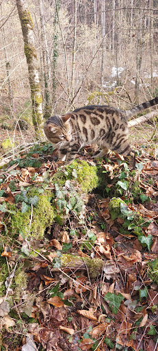 Kleintierpraxis Barbara Enthaler unter Marquartstein, 