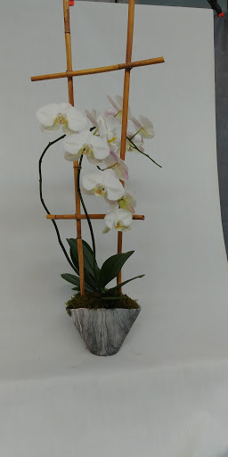 Florist «Teefey Flowers», reviews and photos, 9716 Holmes Rd, Kansas City, MO 64131, USA