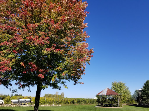 Winery «Prairie Moon Winery», reviews and photos, 3801 W 190th St, Ames, IA 50014, USA