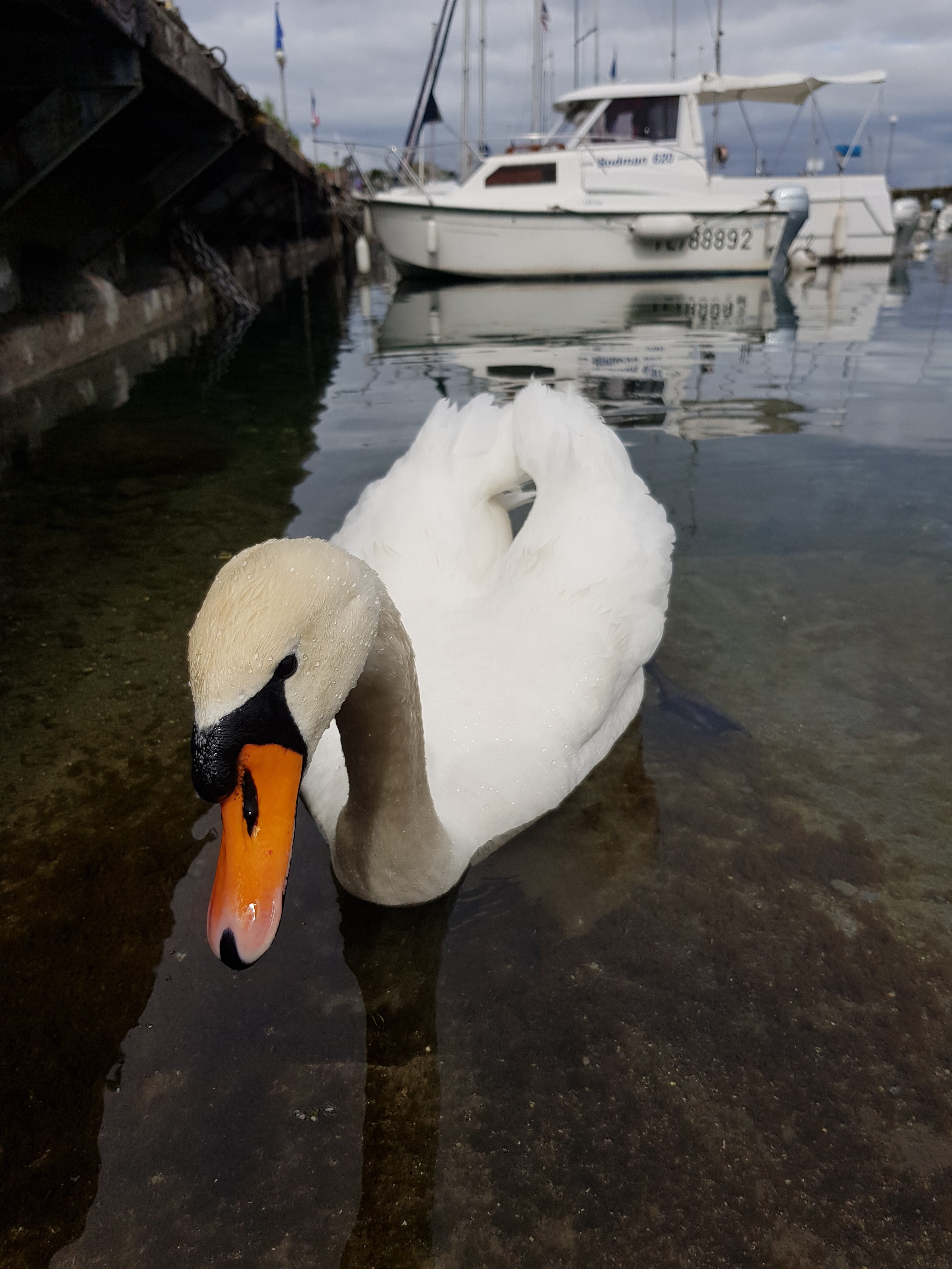 Photo n° 3 de l'avis de Patrick.u fait le 10/05/2019 à 08:06