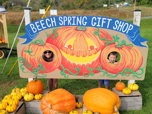 Gift Shop «Beech Spring Gift Shop», reviews and photos, 11600 Lee Hwy, Sperryville, VA 22740, USA