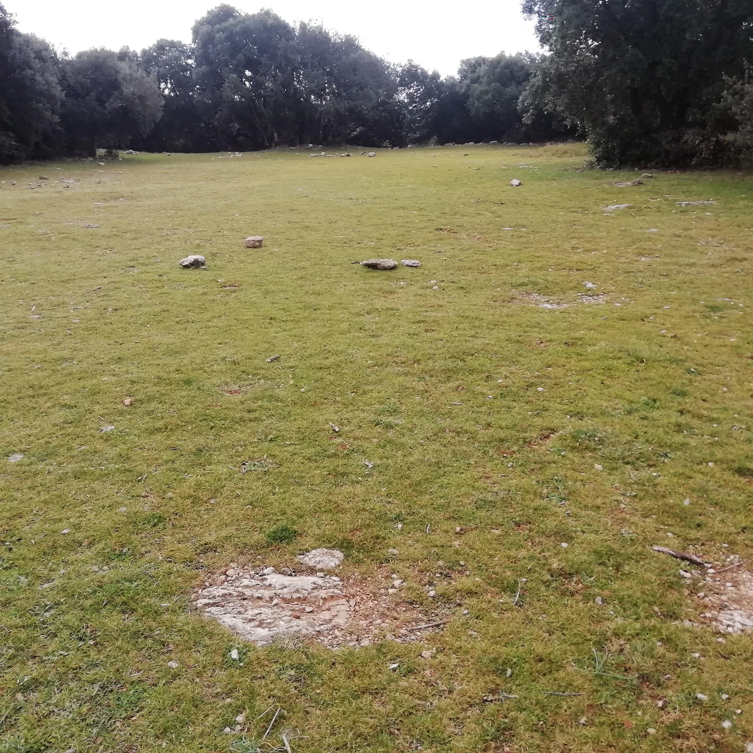 Photo n° 1 de l'avis de Franck.r fait le 09/03/2019 à 17:12