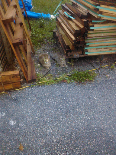 Plumbing Supply Store «Century Plumbing Wholesale, Inc.», reviews and photos, 901 SW 69th Ave, Miami, FL 33144, USA