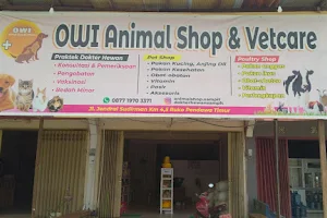 Dokter Hewan Sampit drh. Danik Ariyanti (Owi Animal Shop) image